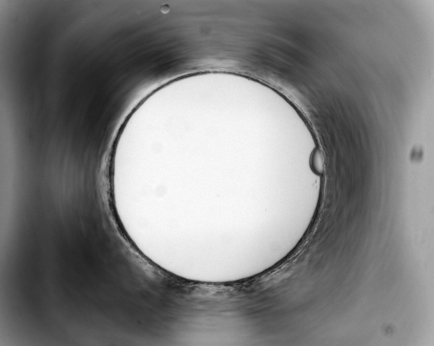 X0000103911056200810101303