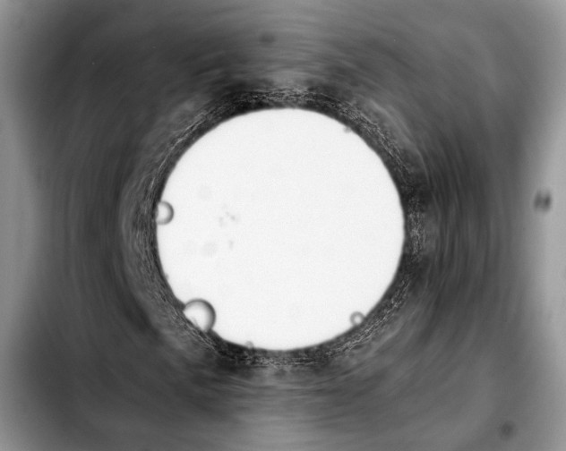 X0000103911057200810101303