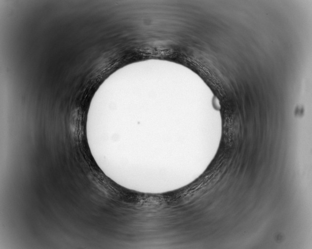 X0000103911058200810101303