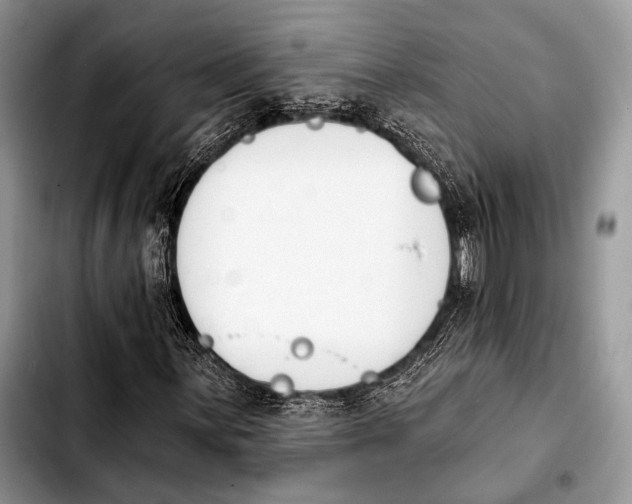 X0000103911059200810101303