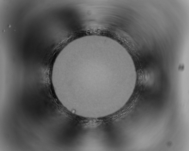 X0000103911060200810101303
