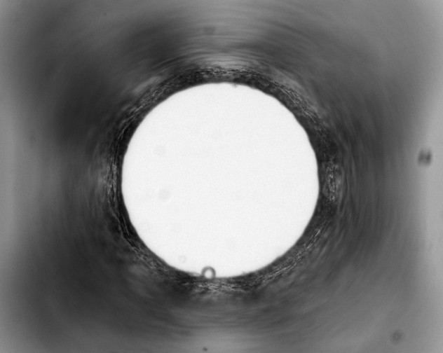X0000103911061200810101303
