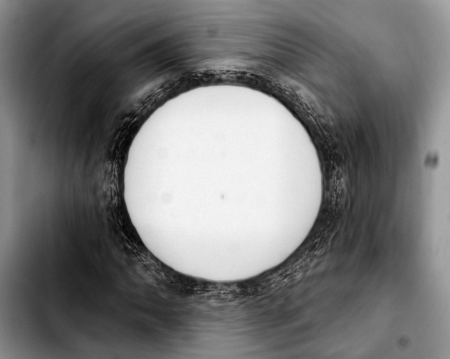 X0000103911062200810101303