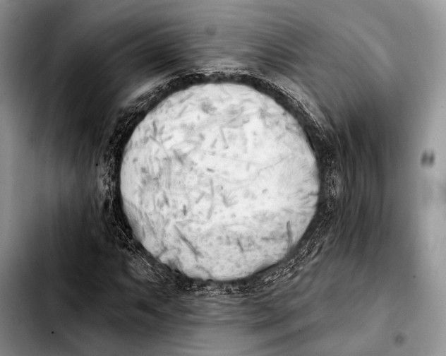 X0000103911063200810101303