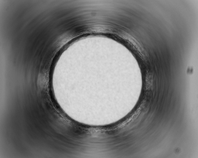 X0000103911065200810101303