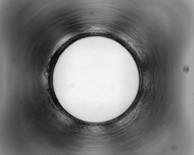 X0000103911066200810101303