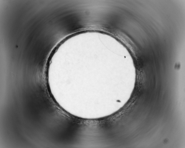 X0000103911068200810101303