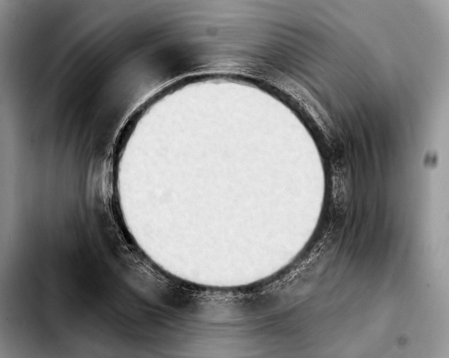 X0000103911069200810101303
