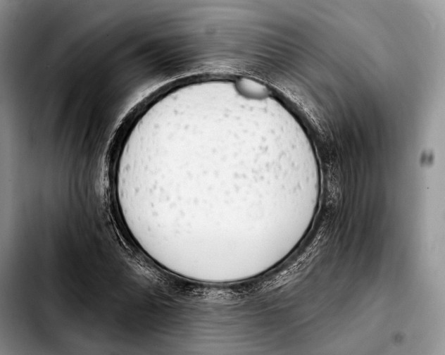 X0000103911070200810101303