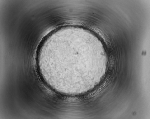 X0000103911071200810101303