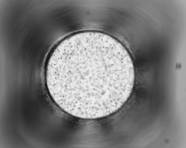 X0000103911072200810101303