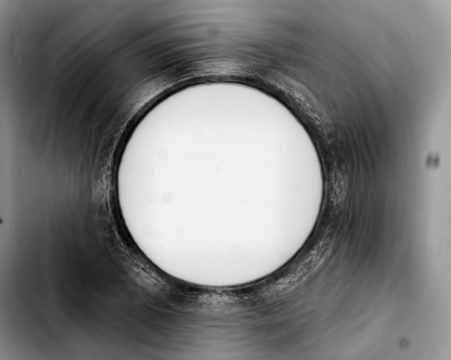 X0000103911073200810101303