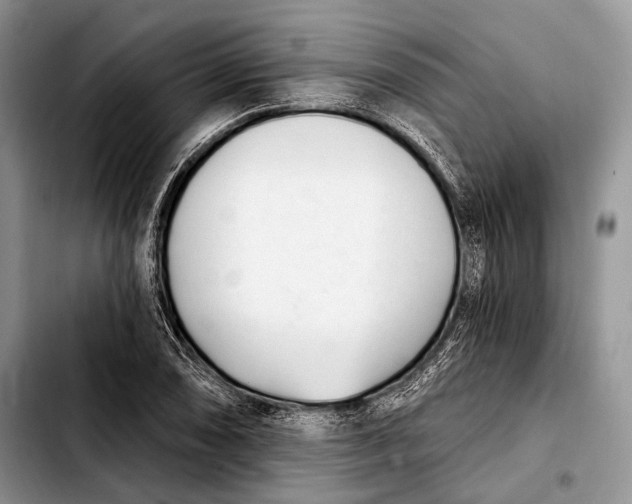 X0000103911074200810101303