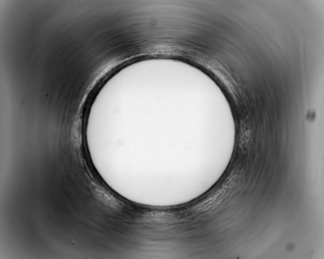 X0000103911075200810101303