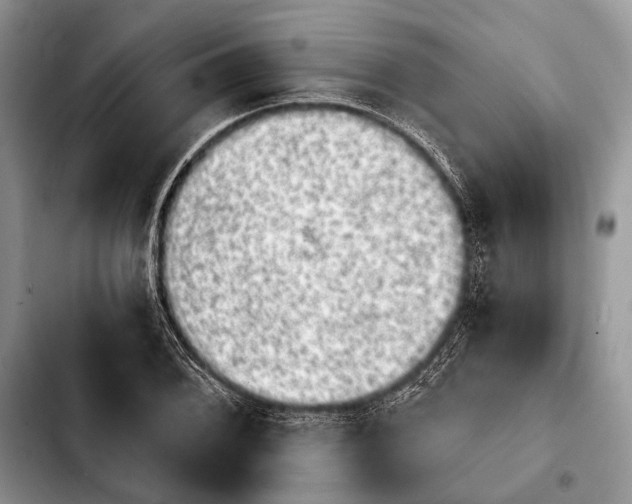 X0000103911076200810101303