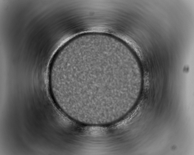 X0000103911077200810101303