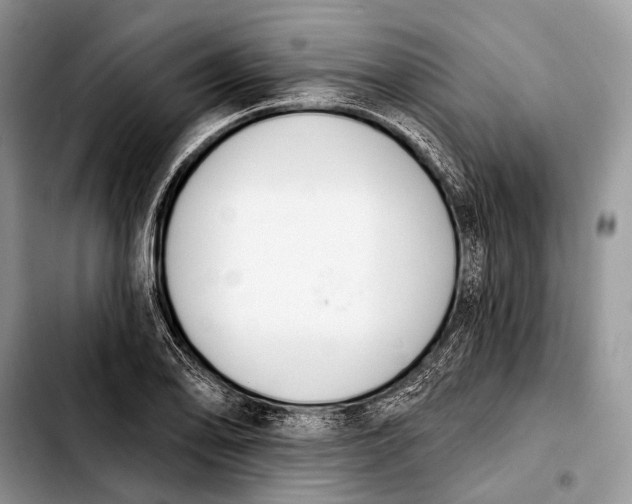 X0000103911078200810101303