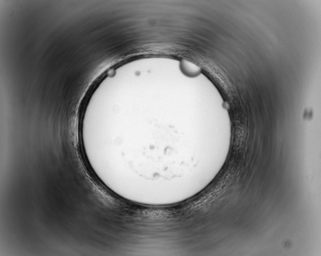 X0000103911079200810101302