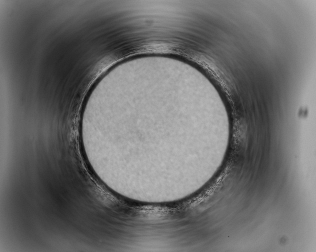 X0000103911081200810101302