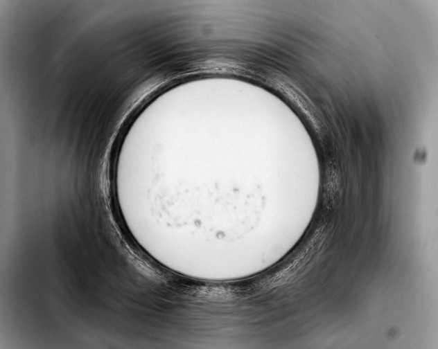 X0000103911082200810101302