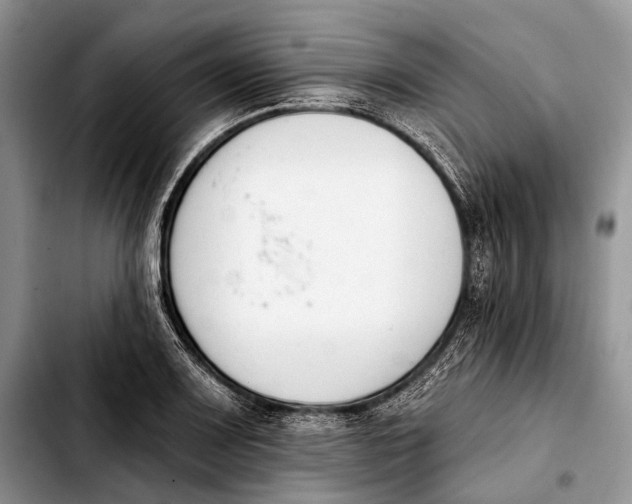 X0000103911083200810101302