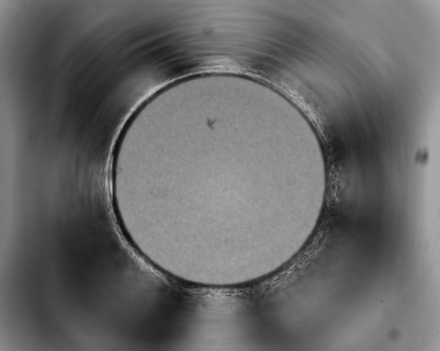 X0000103911084200810101302