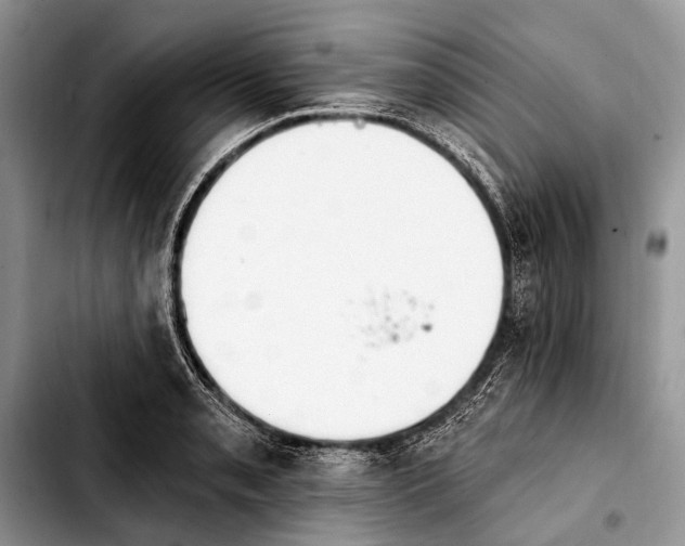 X0000103911085200810101302