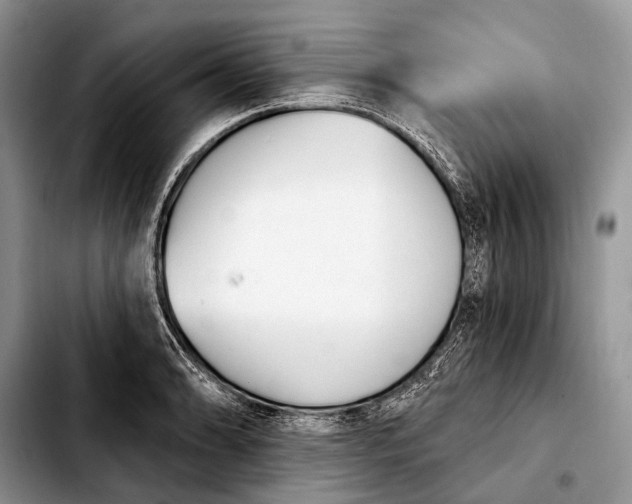 X0000103911086200810101302