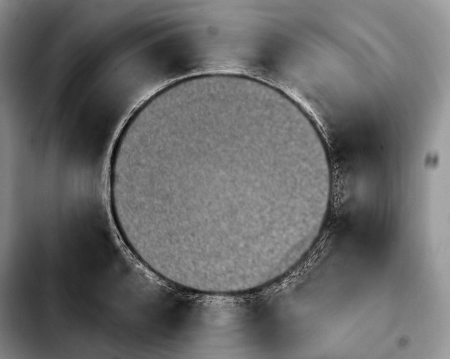 X0000103911088200810101302