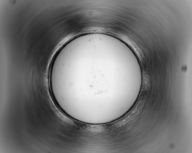 X0000103911090200810101302