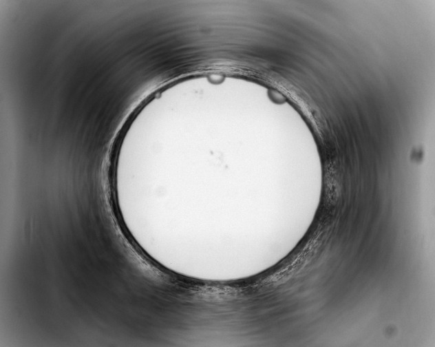X0000103911091200810101302