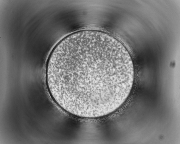 X0000103911092200810101302