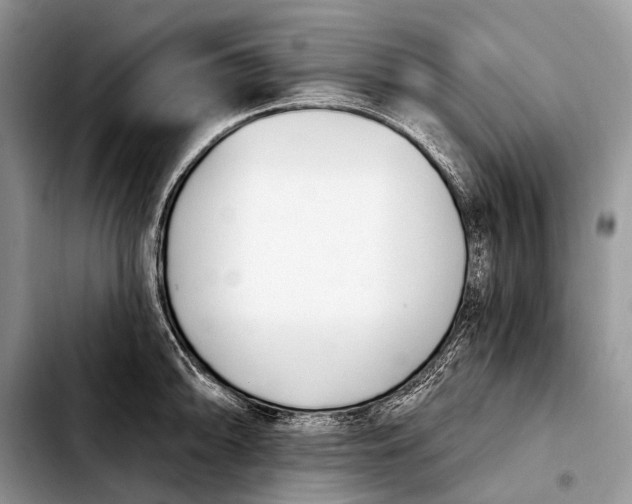 X0000103911094200810101302
