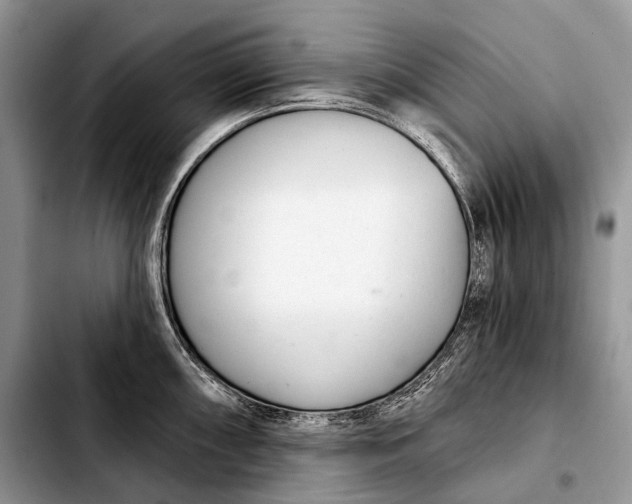 X0000103911098200810101302