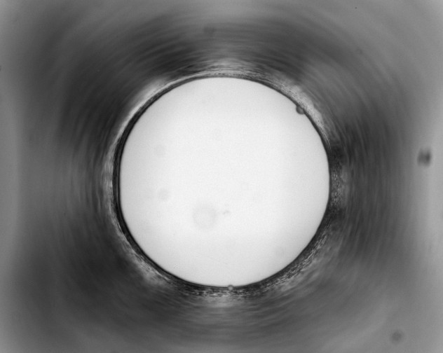 X0000103911099200810101302