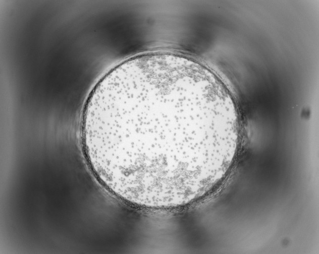 X0000103911101200810101302