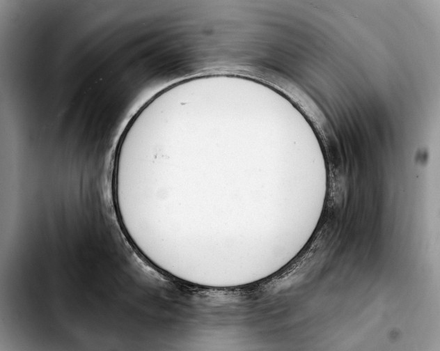 X0000103911102200810101302