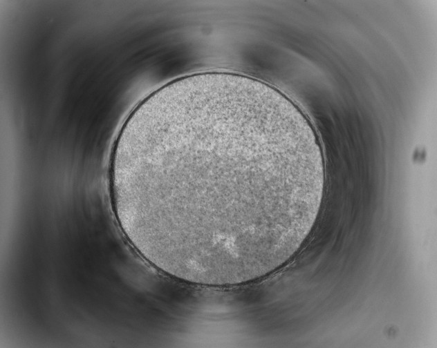 X0000103911104200810101302