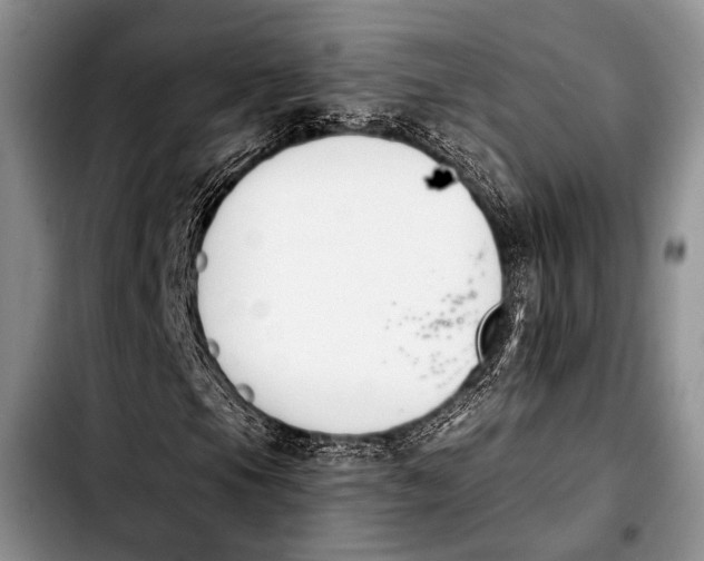 X0000103911105200810101301