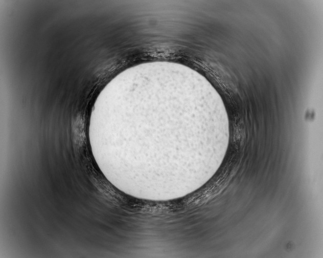X0000103911106200810101301