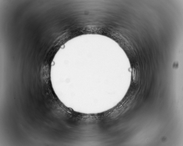 X0000103911107200810101301