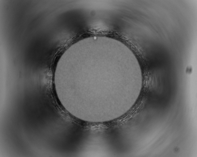 X0000103911108200810101301