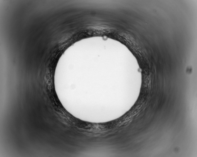 X0000103911109200810101301