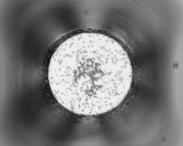 X0000103911112200810101302