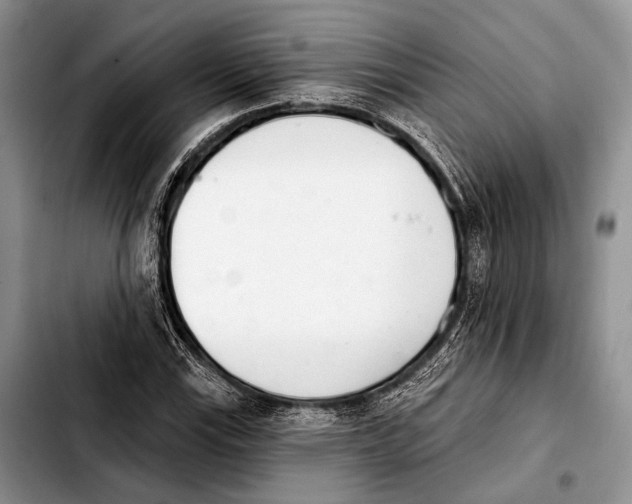 X0000103911115200810101302