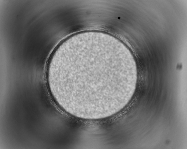 X0000103911116200810101302