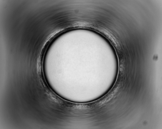 X0000103911117200810101302