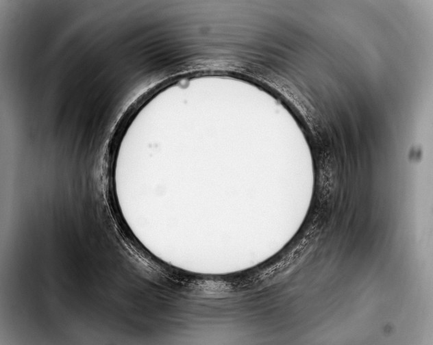 X0000103911119200810101302