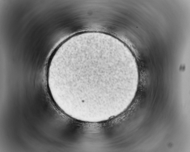 X0000103911120200810101302