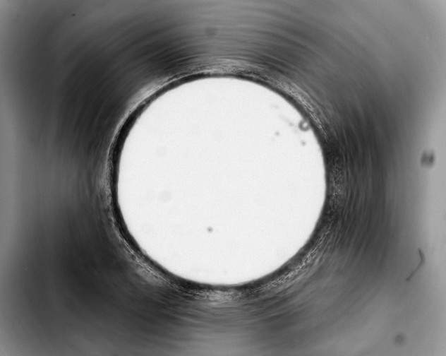 X0000103911122200810101302